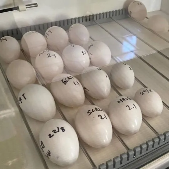 Jesteśmy bardzo szczęśliwi, że jesteśmy tu po raz pierwszy.
