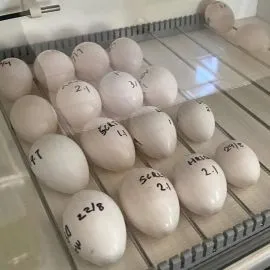 Jesteśmy bardzo szczęśliwi, że jesteśmy tu po raz pierwszy.