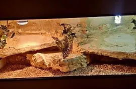 Okazja terrarium dla agamy gekona żółwia węża kame, Wrocław