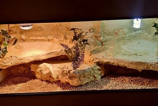 Okazja terrarium dla agamy gekona żółwia węża kame, Wrocław