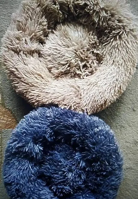 Legowisko dla psa 40 cm, Kujawsko-pomorskie, Toruń