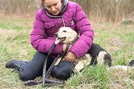 Iga - młodziutka, bardzo przyjazna i kochana sunia