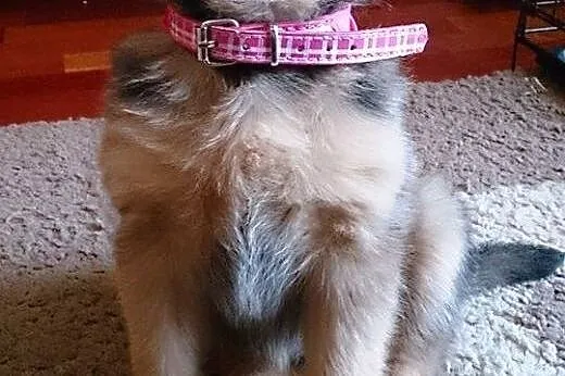 Przesłodka, młodziutka Rózia - wybierz właśnie ją!,  mazowieckie Warszawa