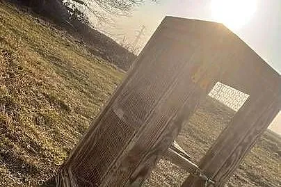 Woliera dla gryzoni, Warmińsko-mazurskie, Olecko