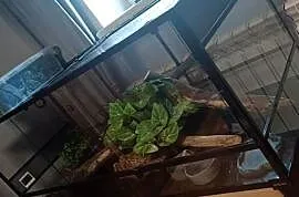 Terrarium Repti Zoo -Szklane-  Super Stan - 160*60*60- Wyposażenie