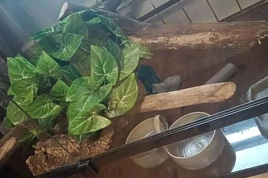 Terrarium Repti Zoo -Szklane-  Super Stan - 160*60*60- Wyposażenie, Podkarpackie, Radomyśl nad Sanem