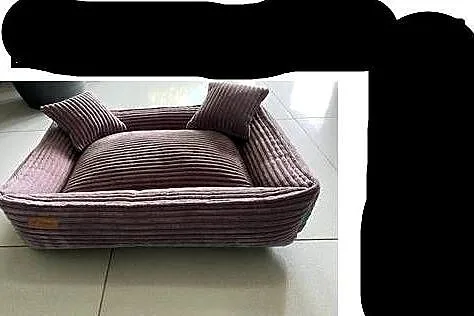 Spanko dla twojego pupila