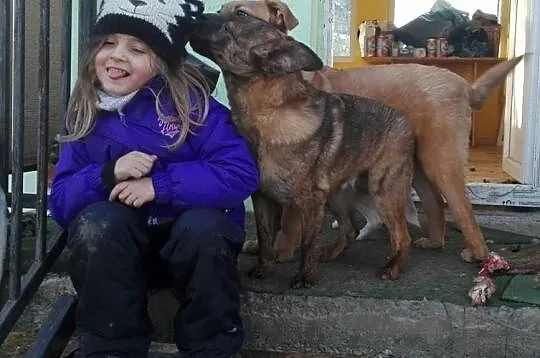 Anter i Agis, łagodni, roczni bracia szukają domów