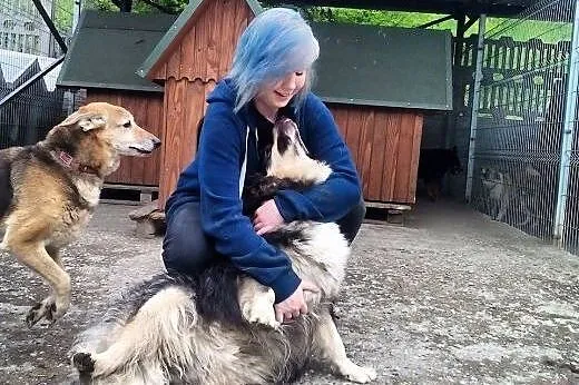 Cezar - młody i radosny pies, który czeka na adopc