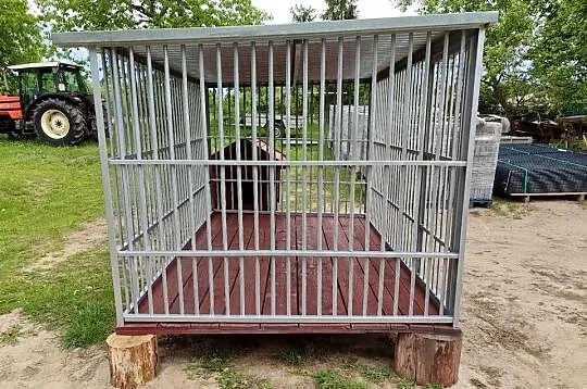 Kojec+podłoga drewniana+ ocieplona buda z litej deski, Kujawsko-pomorskie, Grudziądz