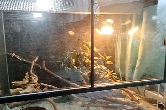 Sprzedam terrarium szklane