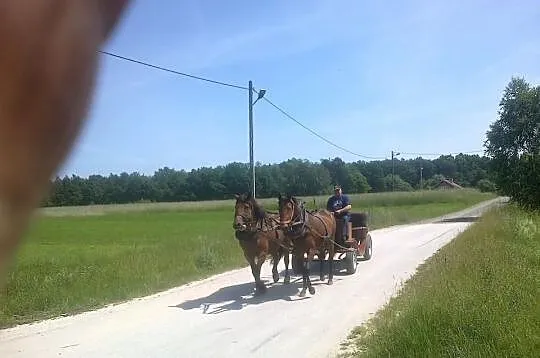 Sprzedam / Zamienie kl młp dotacyjna dziadek GREJ