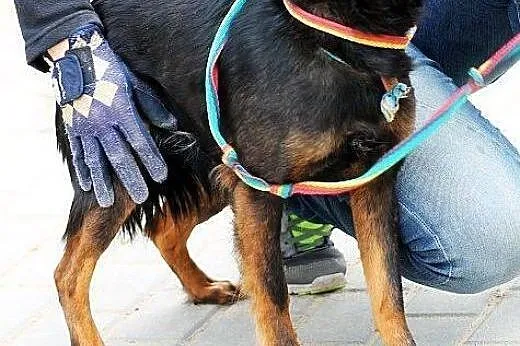 FREJA młodziutka kruszynka do pokochania od zaraz,