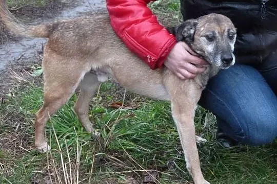 Bajer, mały piesek o wielkim sercu_
