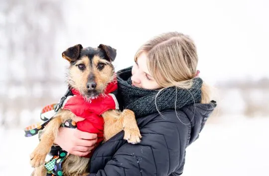 Roxi - młoda, niekonfliktowa, niewielka suczka  Roxi poleca się do adopcji! Roxi to około roczna, śr, , Warszawa