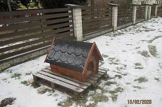 buda dla średniego psa
