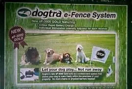 Obroża,pastuch elektryczny dla psa Dogtra eF-3000 Gold