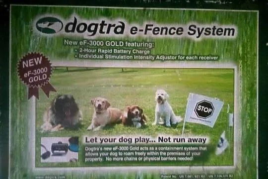 Obroża,pastuch elektryczny dla psa Dogtra eF-3000 Gold, Świętokrzyskie, Ćmielów