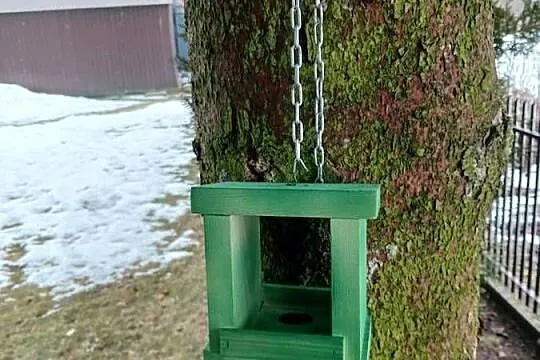Karmnik dla ptakow mini, Małopolskie, Brzesko