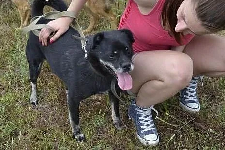 Małpiatek kocha i chce być kochany - podarujesz mu