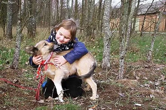 Kuleczka - oaza łagodności, wspaniała suczka do adopcji
