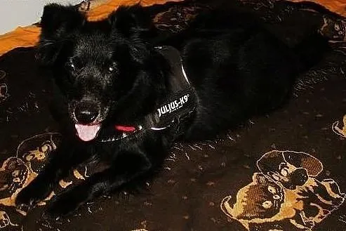 Tobi czy będzie jeszcze szczęśliwy  ,  mazowieckie