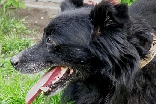 Tobi czy będzie jeszcze szczęśliwy  ,  mazowieckie