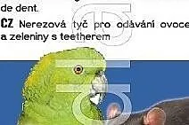 Zabawki dla papug - pręt na owoce i warzywa ze stali nierdzewnej z gryzakami, , Lubicz Dolny