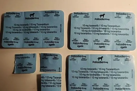 Palladia 10 mg, 18 tabletek, Mazowieckie, Warszawa