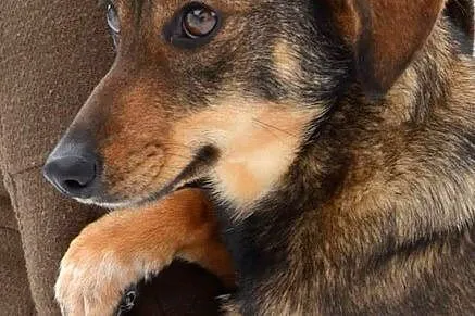 Dwuletnia, fajna Lenka - może być Twoja choćby już
