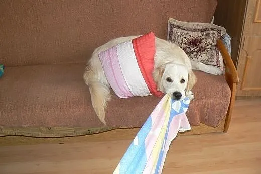 Szukam partnerki :),  pomorskie Rumia