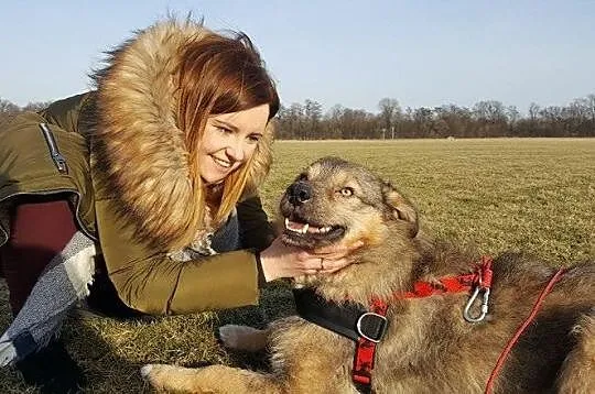 Sid - psi anioł, grzeczny i wychowany, kto pokocha