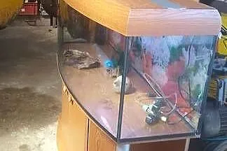 Akwarium z szafką 300 l i akcesoria, Pomorskie, Tczew