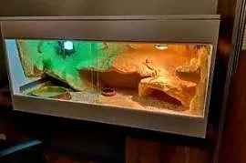 Okazja terrarium dla agamy gekona żółwia węża kameleona legwana boa