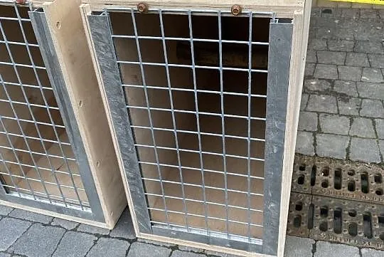 Transporter dla ary, Świętokrzyskie, Kielce