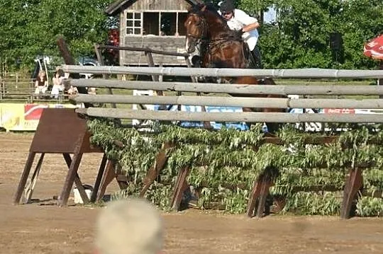 ***Utalentowany skokowy walach po Balou Peggio (Balou de Rouet)