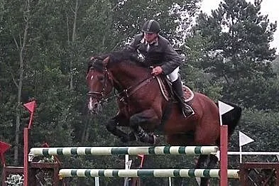 ***Utalentowany skokowy walach po Balou Peggio (Balou de Rouet), , 