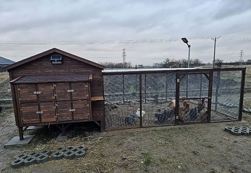 Kurnik dla kur z wolierą, Małopolskie, Jordanów