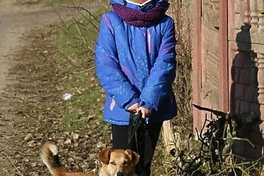 RUDA - cudowna sunia, odebrana interwencyjne czeka
