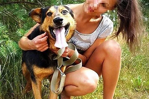 MORIS - wspaniały pies o wielkiej woli życia - DAJ