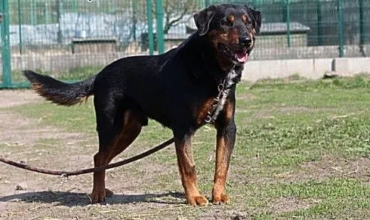 Aston.Wkraść się w Twój świat..., kujawsko-pomors