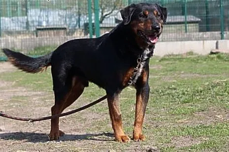 Aston.Wkraść się w Twój świat..., kujawsko-pomorskie Bydgoszcz