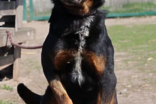 Aston.Wkraść się w Twój świat...,  kujawsko-pomors