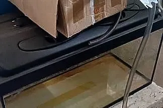 Akwarium 125L z osprzętem, Kujawsko-pomorskie, Kopanino