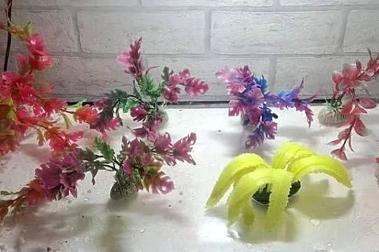 Akwarium i terarium 60 litrów profilowe