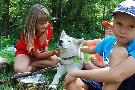 Goja szuka domu !,  Pozostałe rasy cała Polska