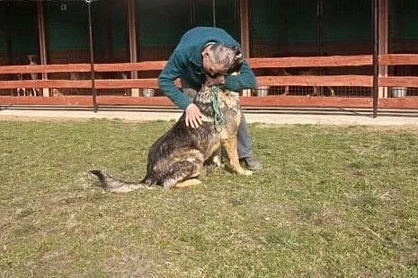 Maks kocha ludzi kocha świat adoptuj go i pokochaj