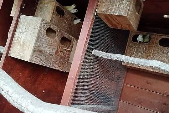 Sprzedam Mnichy Nizinne, Opolskie, Ligota Turawska