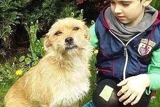 Ej Ty, człowieku- jestem BEZA, fajna jestem!,  maz