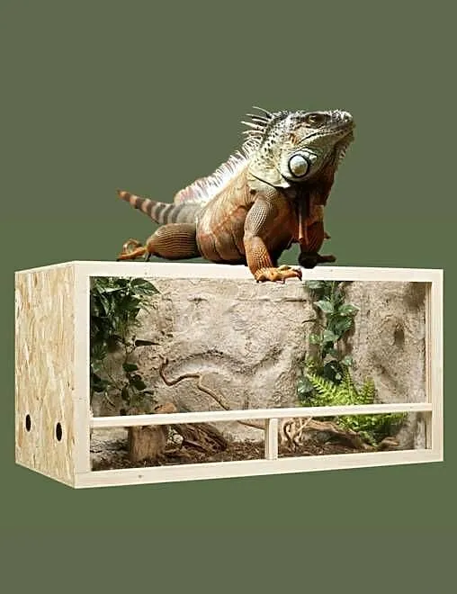 Terrarium z płyty OSB 120x60x60 cm, Wielkopolskie, Pięczkowo